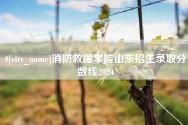 泽州消防救援学院山东招生录取分数线2020