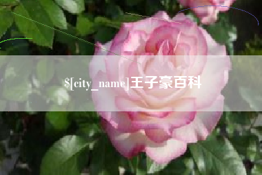泽州王子豪百科