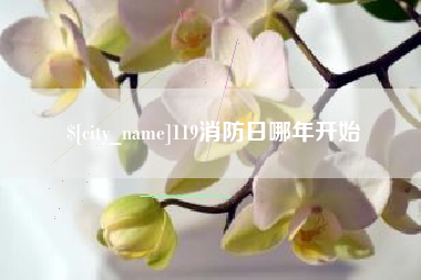 泽州119消防日哪年开始