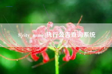 泽州执行公告查询系统