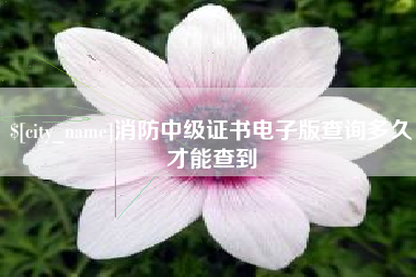 泽州消防中级证书电子版查询多久才能查到