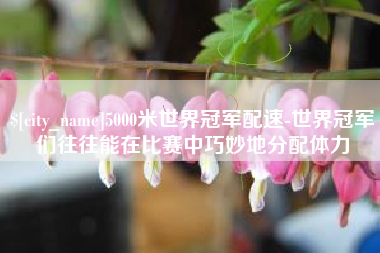 泽州5000米世界冠军配速-世界冠军们往往能在比赛中巧妙地分配体力