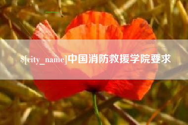 泽州中国消防救援学院要求