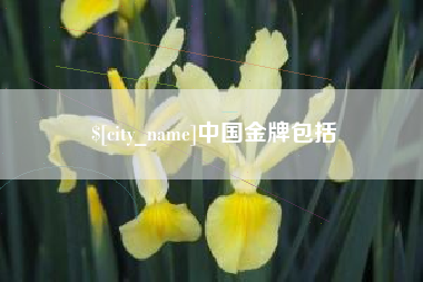 泽州中国金牌包括