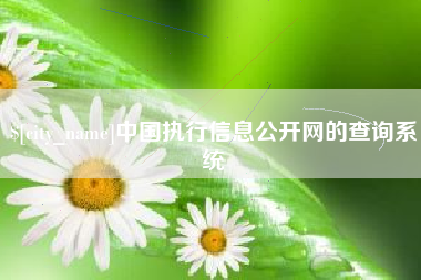 泽州中国执行信息公开网的查询系统