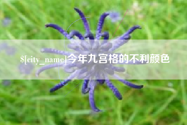 泽州今年九宫格的不利颜色