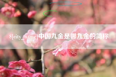 泽州中国九金是哪九金的简称