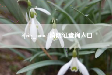 泽州消防证查询入口