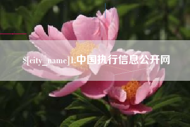 泽州1.中国执行信息公开网
