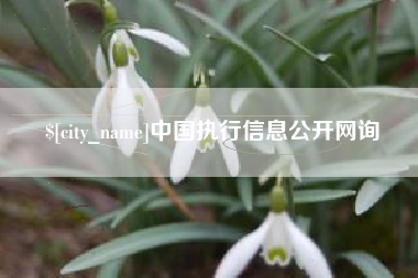 泽州中国执行信息公开网询