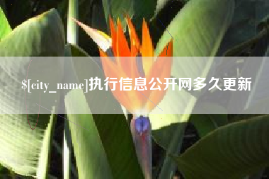 泽州执行信息公开网多久更新