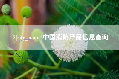 泽州中国消防产品信息查询