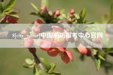 泽州中国消防报考中心官网
