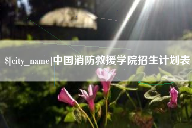 泽州中国消防救援学院招生计划表