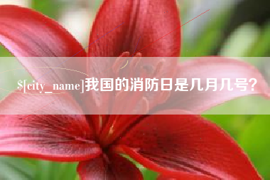 泽州我国的消防日是几月几号？