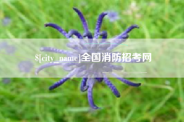 泽州全国消防招考网