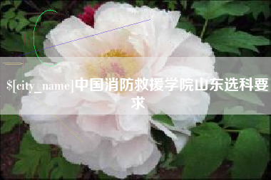 泽州中国消防救援学院山东选科要求