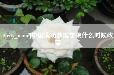 泽州中国消防救援学院什么时候政审