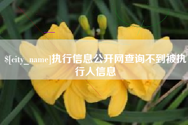 泽州执行信息公开网查询不到被执行人信息