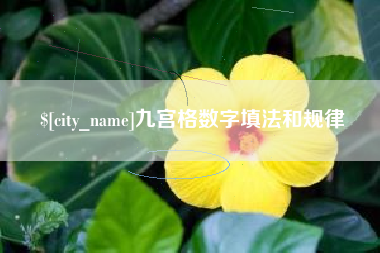 泽州九宫格数字填法和规律