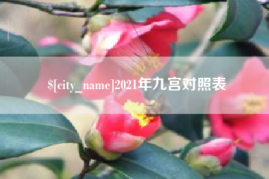 泽州2021年九宫对照表