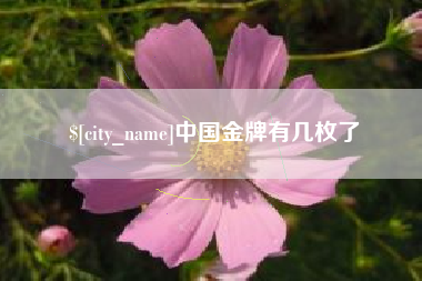泽州中国金牌有几枚了