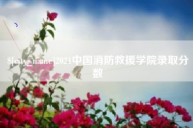 泽州2021中国消防救援学院录取分数