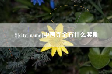 泽州中国夺金有什么奖励