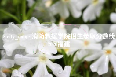 泽州消防救援学院招生录取分数线2020福建