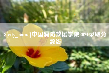 泽州中国消防救援学院2021录取分数线