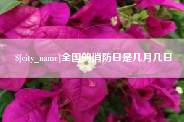 泽州全国的消防日是几月几日
