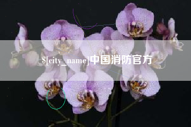 泽州中国消防官方