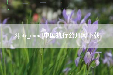 泽州中国执行公开网下载