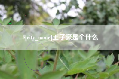 泽州王子豪是个什么