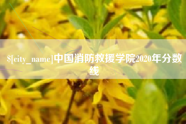 泽州中国消防救援学院2020年分数线