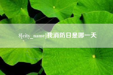 泽州我消防日是哪一天