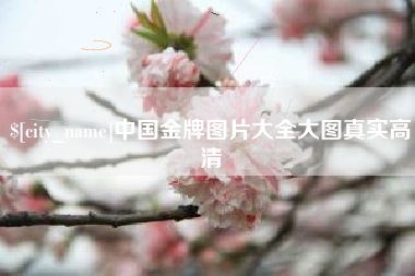泽州中国金牌图片大全大图真实高清