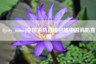 泽州中国消防直播回放中国消防直播