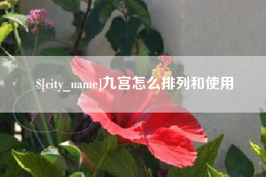 泽州九宫怎么排列和使用