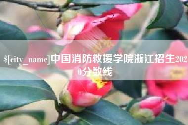 泽州中国消防救援学院浙江招生2020分数线