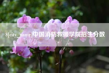 泽州中国消防救援学院招生分数