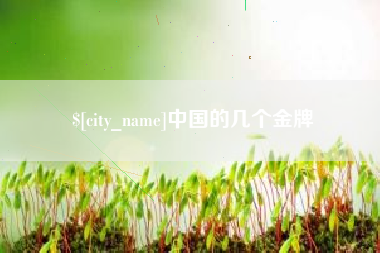 泽州中国的几个金牌