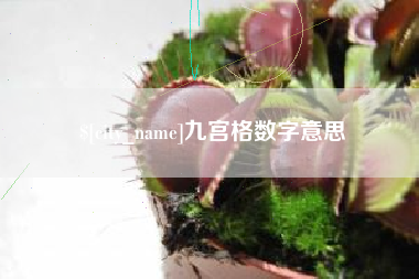 泽州九宫格数字意思