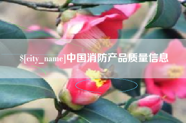 泽州中国消防产品质量信息