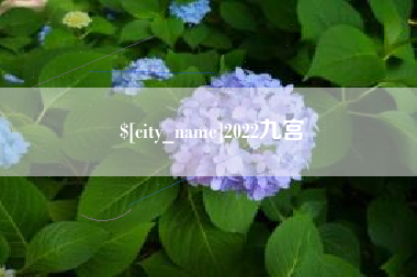 泽州2022九宫