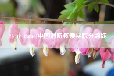 泽州中国消防救援学院分数线