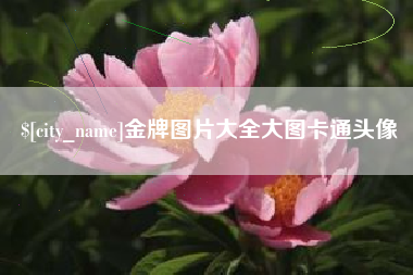 泽州金牌图片大全大图卡通头像