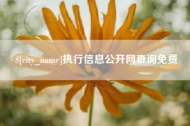 泽州执行信息公开网查询免费