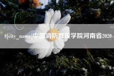 泽州中国消防救援学院河南省2020